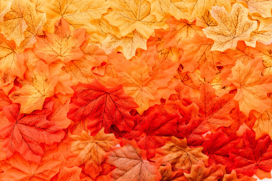 Puzzle listy podzim