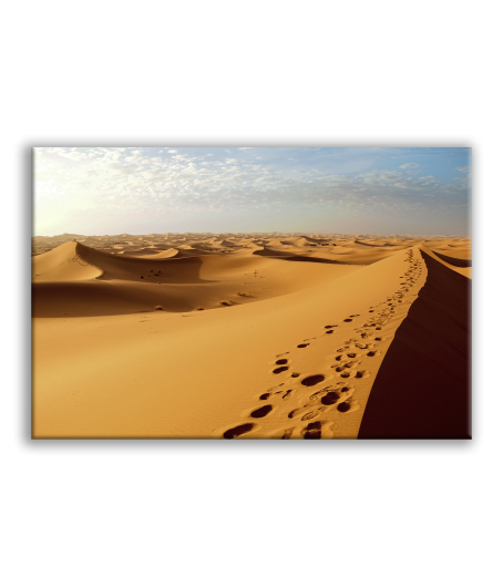 Obraz Sahara poušť příroda