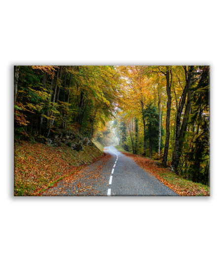 Obraz silnice příroda podzim